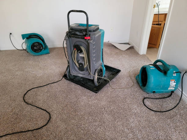 Best Ceiling water damage repair  in Clermont, GA