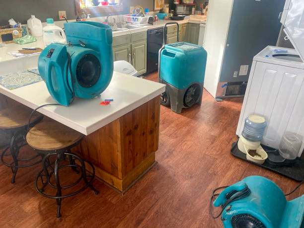 Best 24/7 water damage repair  in Clermont, GA