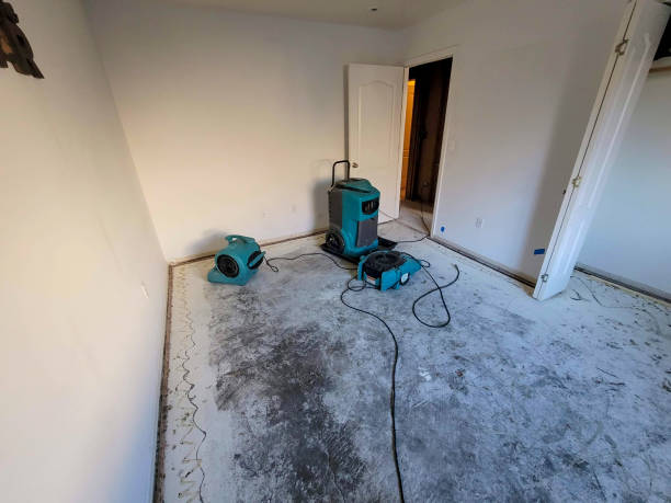 Best Carpet water damage restoration  in Clermont, GA