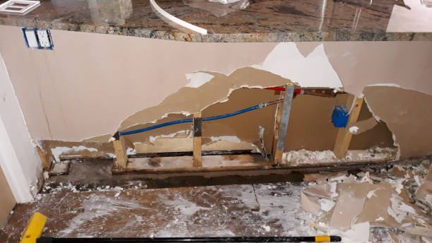 Best Flooded house restoration  in Clermont, GA