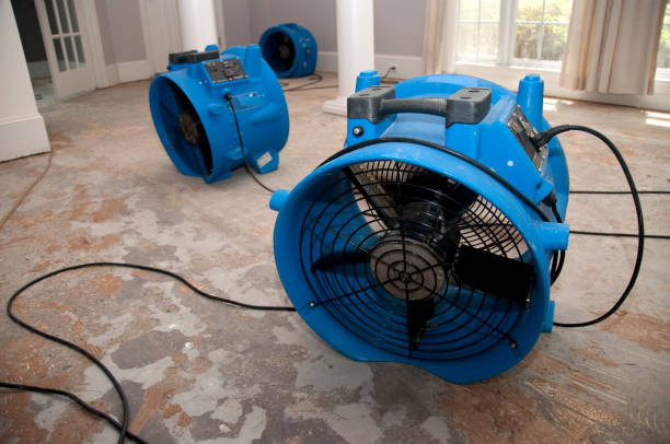 Best Commercial water damage restoration  in Clermont, GA