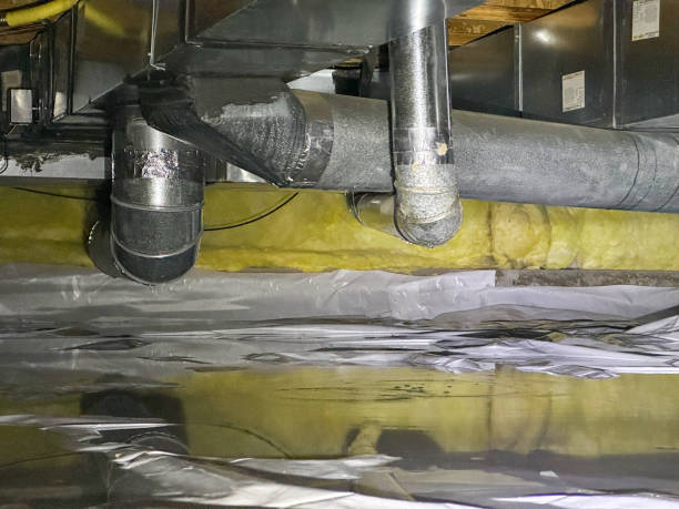 Best Water damage restoration near me  in Clermont, GA
