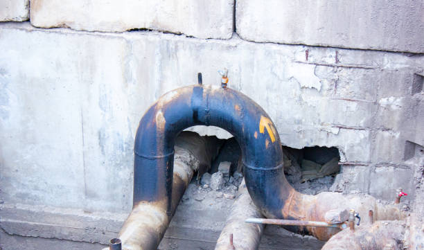 Best Mold removal after water damage  in Clermont, GA