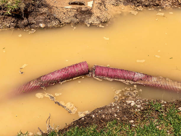 Best Water damage contractors near me  in Clermont, GA