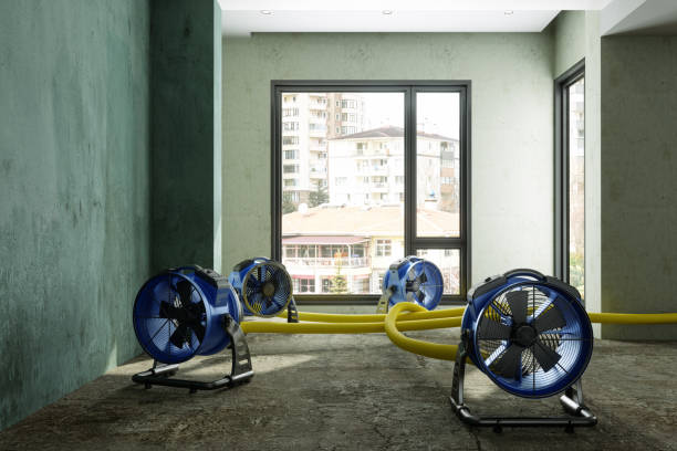 Best Water damage restoration specialists  in Clermont, GA
